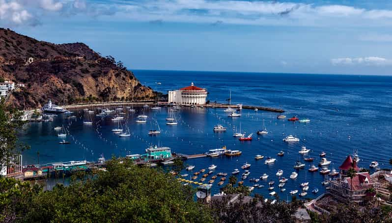 Visita guiada todo incluido a la Isla Catalina desde Orange Co