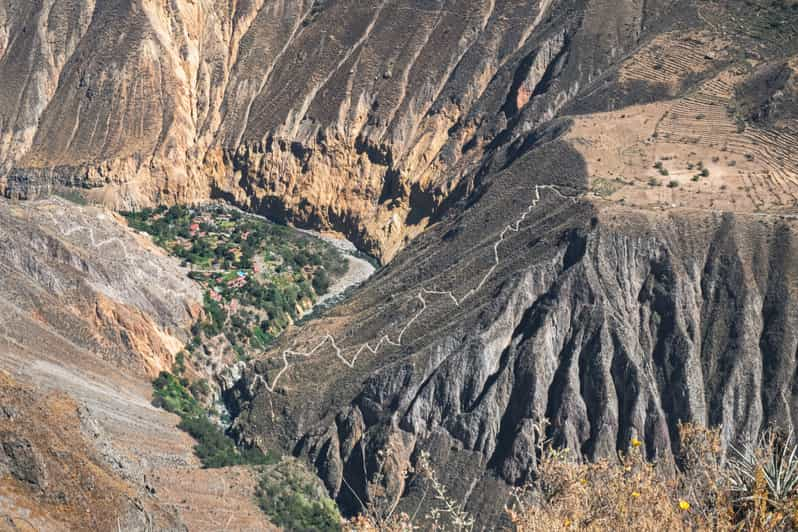 vuelo del condor - cabanaconde