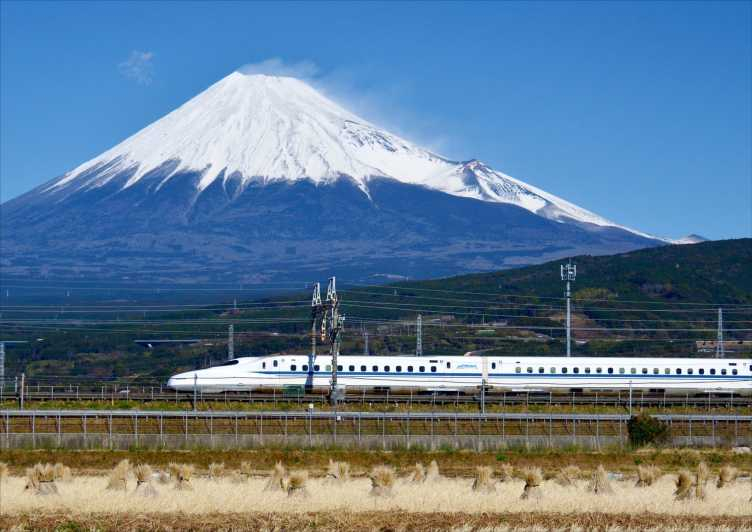 Desde Tokio: Excursión al Monte Fuji y Hakone con regreso en tren bala