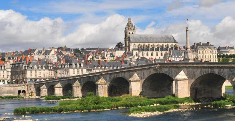 Blois: Visita Privada al Castillo de Blois con Entradas