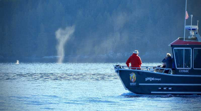 Campbell River: Aventura de avistamiento de ballenas en el Mar Salish