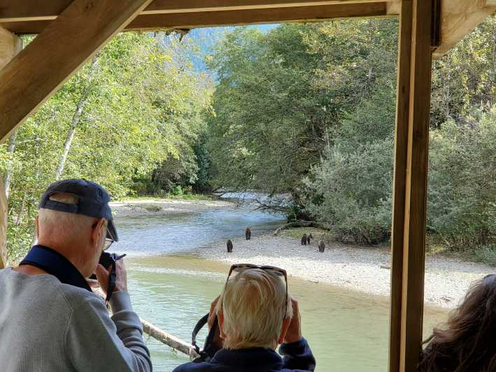 Río Campbell: Excursión para observar osos pardos con almuerzo