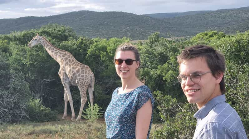 Safari Privado de Día Completo al Parque de Elefantes de Addo y Paseo de las Jirafas