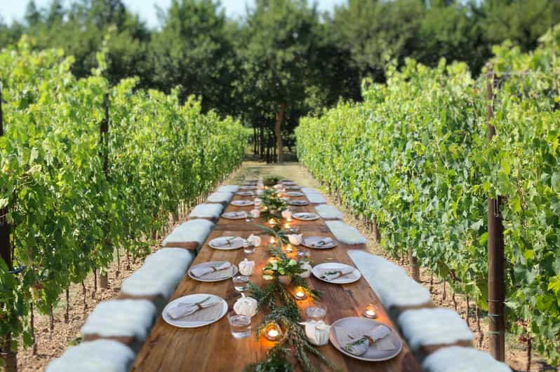 San Gimignano: Almuerzo romántico en un viñedo