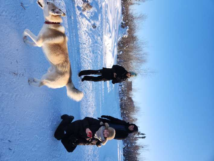 Yellowknife Excursión en trineo tirado por perros