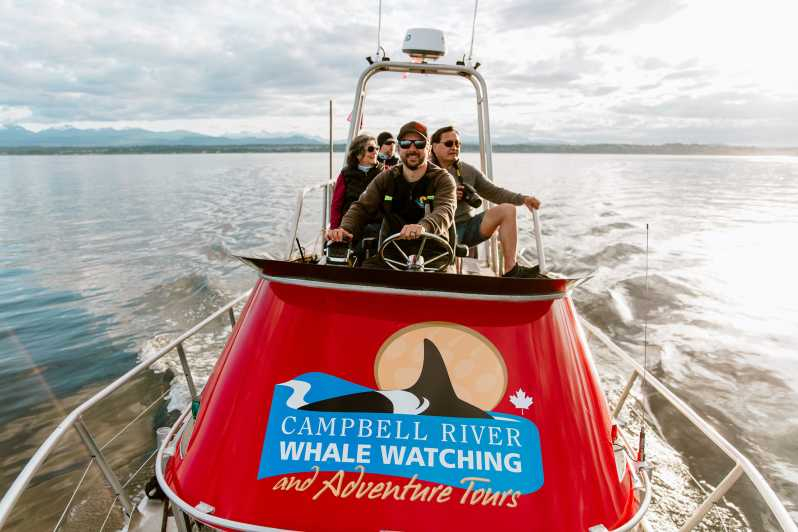 Campbell River: Excursión de un día para avistar ballenas y fauna salvaje