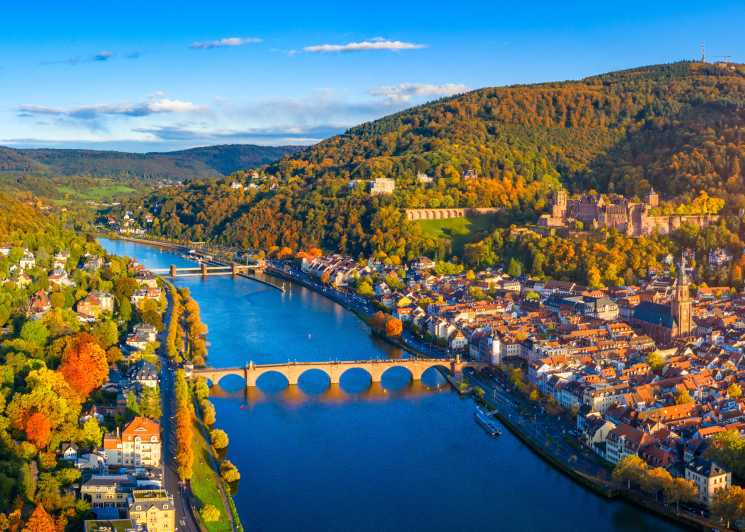 Heidelberg: Crucero turístico por el río Neckar con una copa