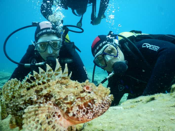 Agia Pelagia: Experiencia de Introducción al Buceo