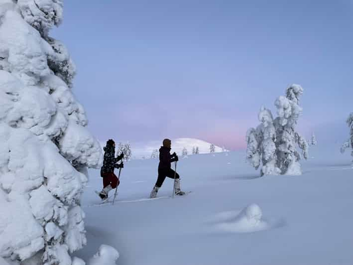 Levi: Excursión con raquetas de nieve por el Parque Nacional de Pallas-Yllästunturi