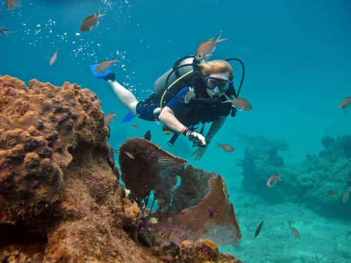 Cozumel: Buceo con un tanque y acceso completo al Parque Chankanaab