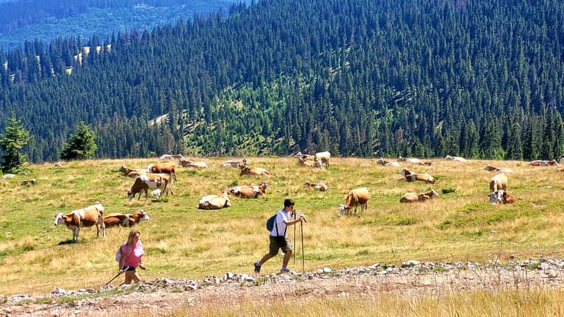 Desde Cluj-Napoca: Excursión de un día al Pico Vlădeasa