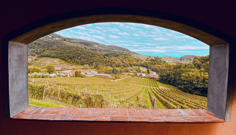 Lucca: Visita guiada a una bodega con cata de vinos