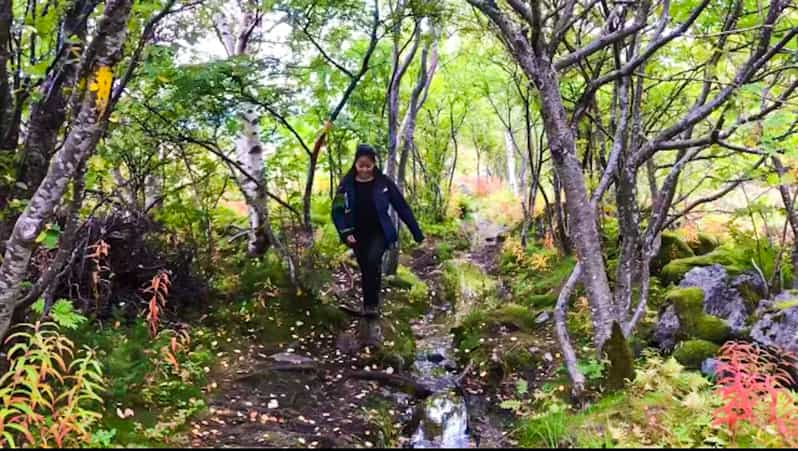 Islas Lofoten: Excursión de lujo de pesca, senderismo y playa