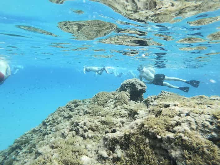 Malta: Excursión de snorkel