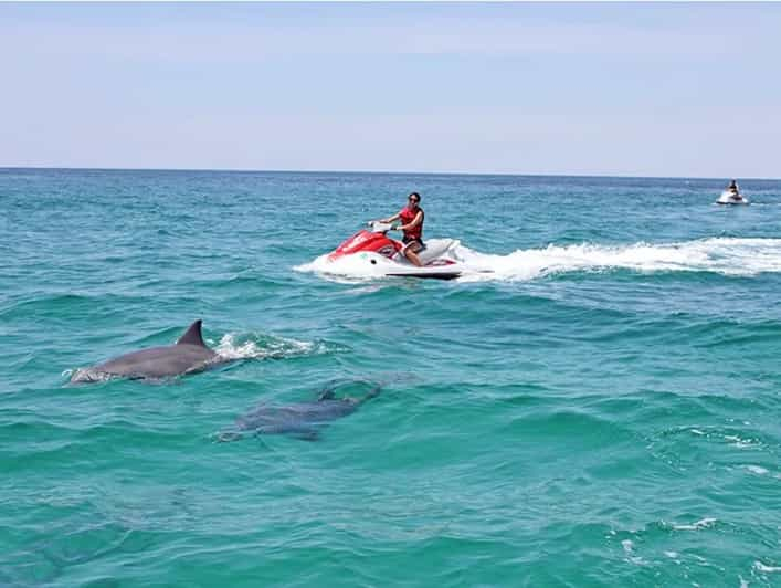 Cape Coral y Fort Myers Excursión en moto acuática Wild Life