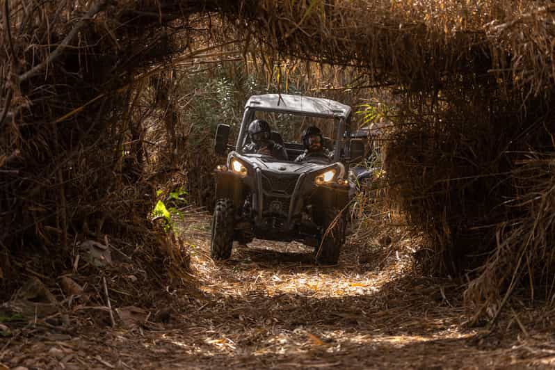 Almancil: Aventura guiada en buggy todoterreno por el Algarve