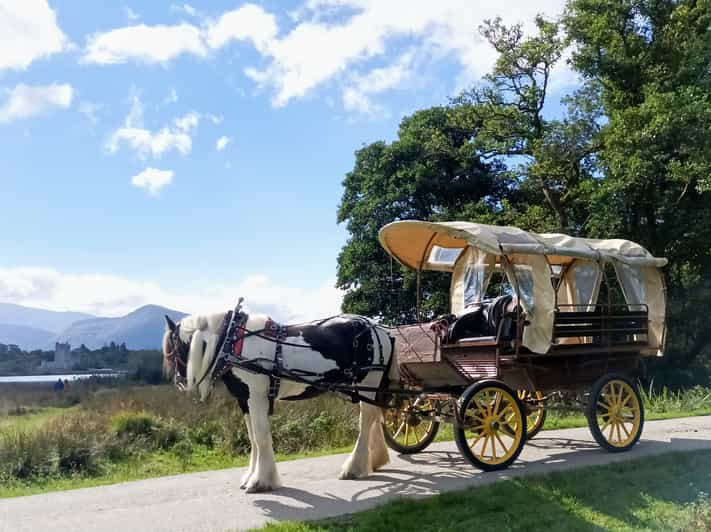 Killarney Tour privado del Parque Nacional de Killarney