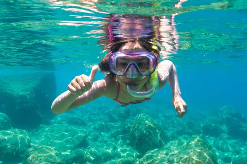 Olbia: Excursión en barco para avistar delfines y hacer snorkel