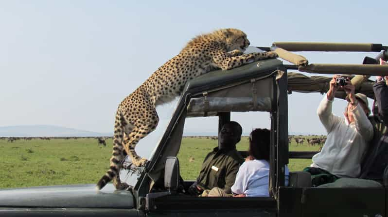 Nairobi: Excursión en grupo de 3 días a Maasai Mara con safari en jeep 4x4