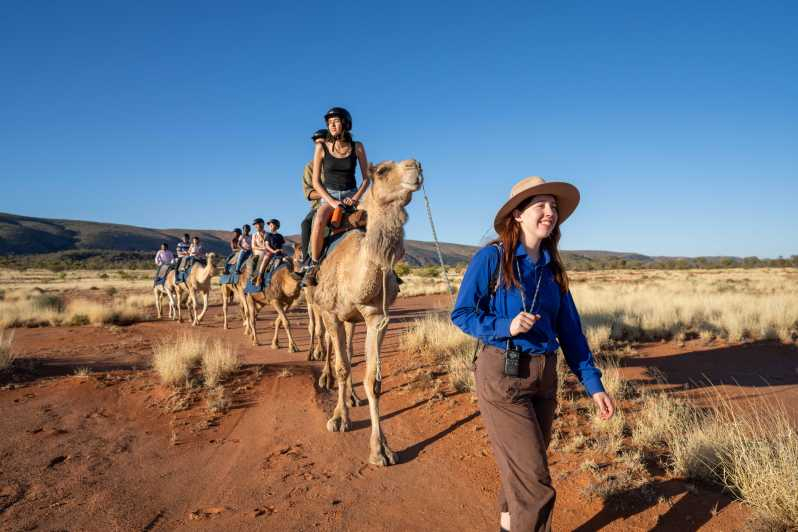 Alice Springs: Paseo guiado en camello por el Outback