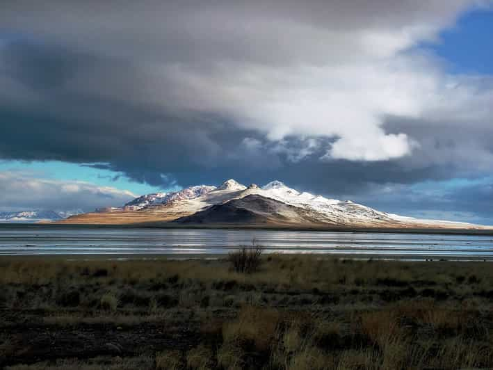 Salt Lake City: Excursión guiada por la Isla del Antílope del Gran Lago Salado