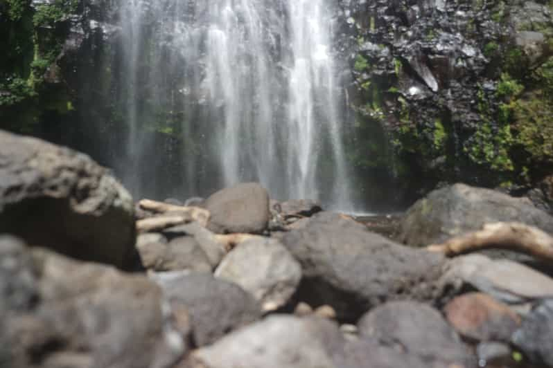 Desde Moshi: Excursión de un día a las Cascadas de Materuni y la Granja de Café