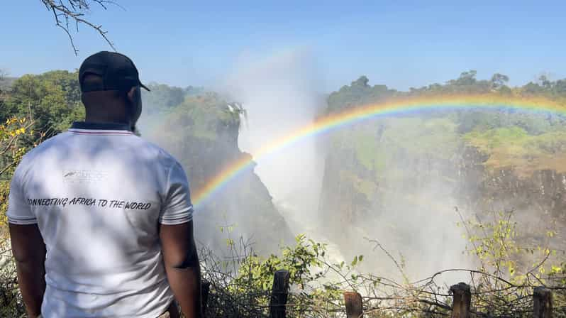 Cataratas Victoria: Visita guiada privada a las cataratas