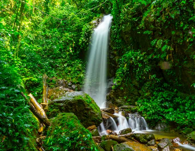 Desde San Pedro Sula: Excursión de un día al Parque Nacional Azul Meámbar