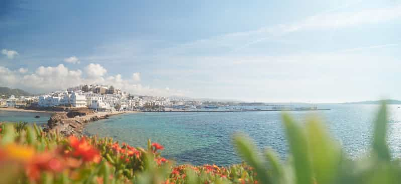 Desde Naxos: Delos y Mykonos: excursión de un día en catamarán