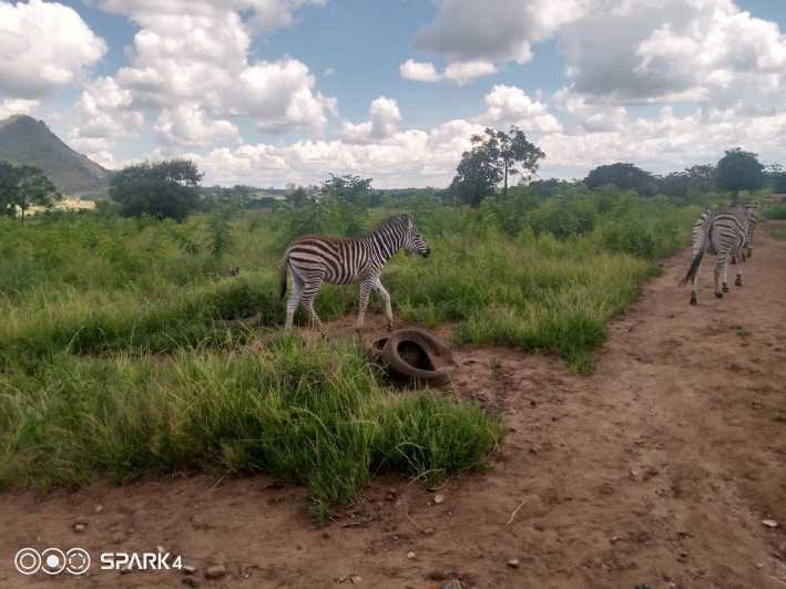 Safaris por Malawi