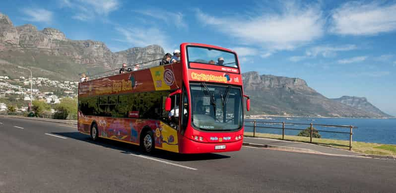 Ciudad del Cabo: tour en autobús libres con crucero opcional