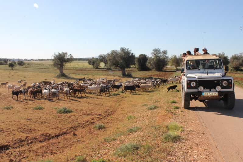 Albufeira: Jeep Safari Tour de medio día por el campo