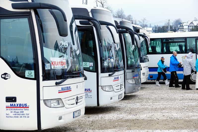 Desde Cracovia: Traslado en autobús a/desde Zakopane