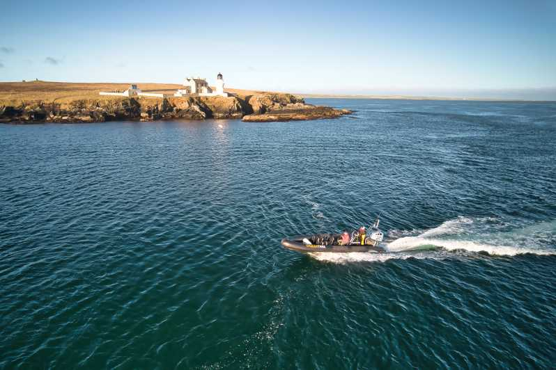 Orcadas: Excursión en lancha rápida por la costa, en barco por la historia y la fauna