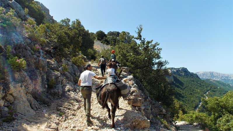 Paseo en burro por el bosque de Suttaterra desde Dorgali