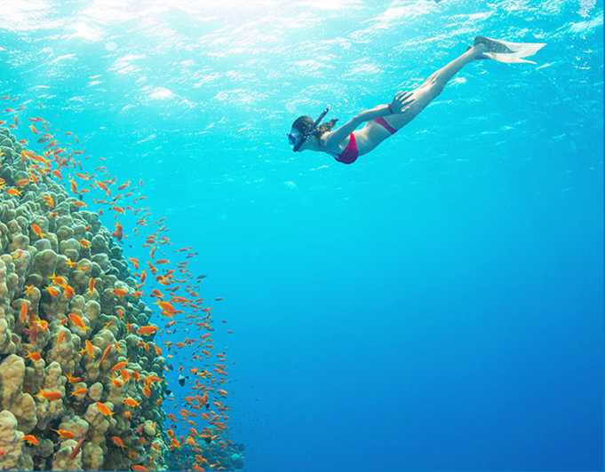 Phu Quoc: Excursión en lancha rápida por 4 islas con snorkel y barbacoa