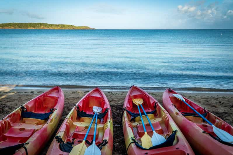 Experiencia ecológica en kayak y snorkel con aperitivo y bebidas