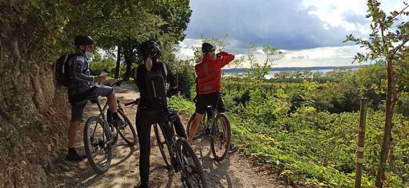 Bardolino: visita en e-bici y cata de vinos en las colinas