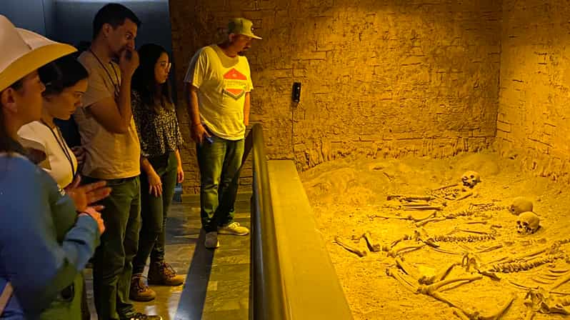 Ciudad de México: visita guiada al Templo Mayor y al Museo de Antropología