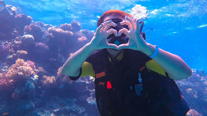 El Gouna: Buceo o snorkel en 2 puntos Excursión en barco con almuerzo