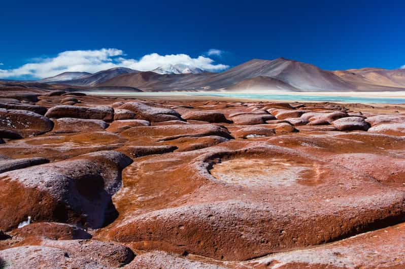 Caracoles: Excursión de un día con guía a las Piedras Rojas de Atacama y Chaxa