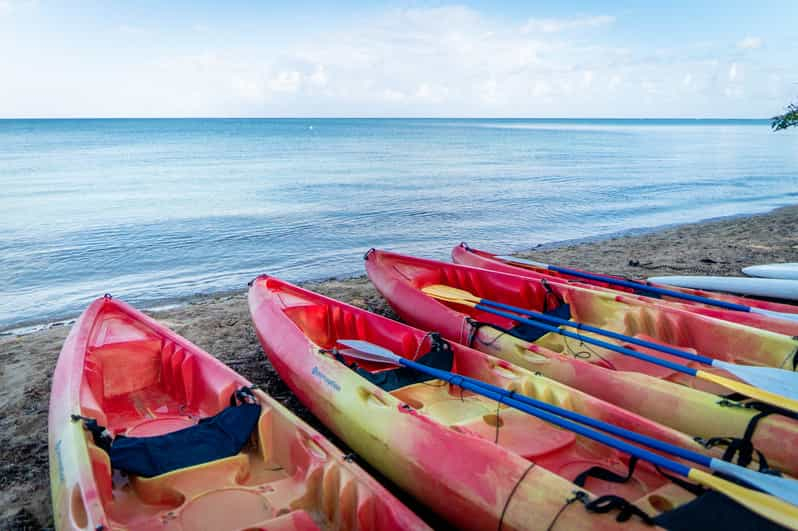 Alquiler de kayaks