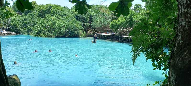 Port Vila: Excursión a la Laguna Azul y Tortuguitas con almuerzo barbacoa