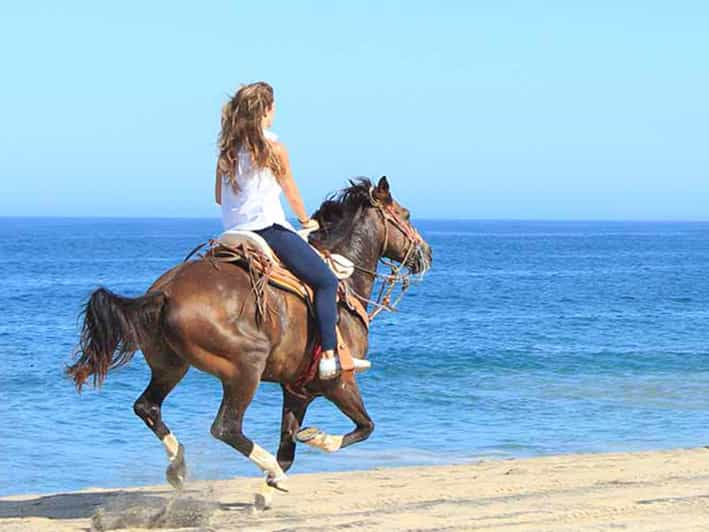 Paseos a caballo en Boavista