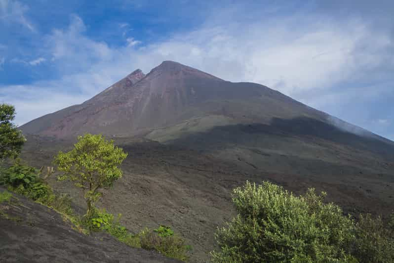 Desde Guatemala o Antigua: tour de un día al volcán Pacaya