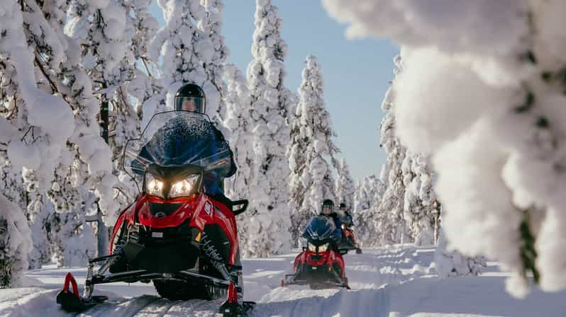 Levi: Safari de 2 horas en moto de nieve por la naturaleza de Levi