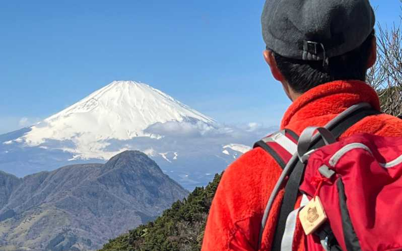 Hakone: Atraviesa la Caldera de Hakone y Disfruta de los Onsen