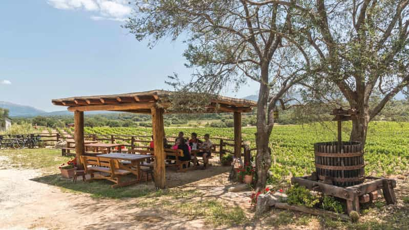 Cerdeña: Visita a las Bodegas Dorgali con degustación y guía local