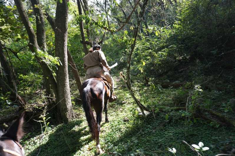 Yungas : cabalgata en la selva con asado - traslado inc.