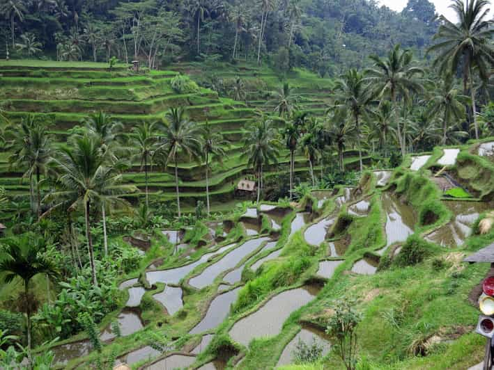 Majestuoso Recorrido Privado por las Cascadas de Ubud